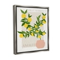 thumbnail image 4 of Stupell Industries Minimal Lemon Branch Food & Beverage Painting Gray Floater Framed Canvas Art Print Wall Art, 25 x 31, 4 of 10