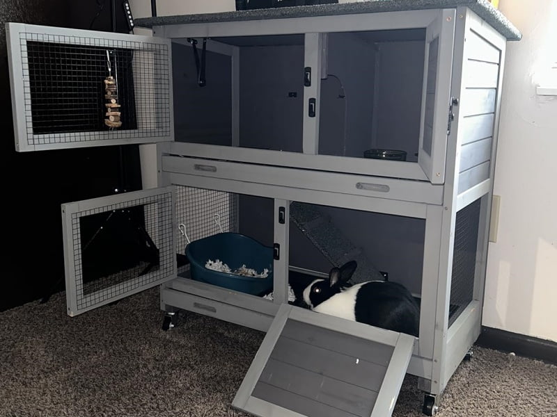 MEDEHOO Rabbit Hutch Outdoor Indoor Bunny Cage 2 with Large Pull-Out Trays 2 Story Guinea Pig Cage on Wheels- Move Freely