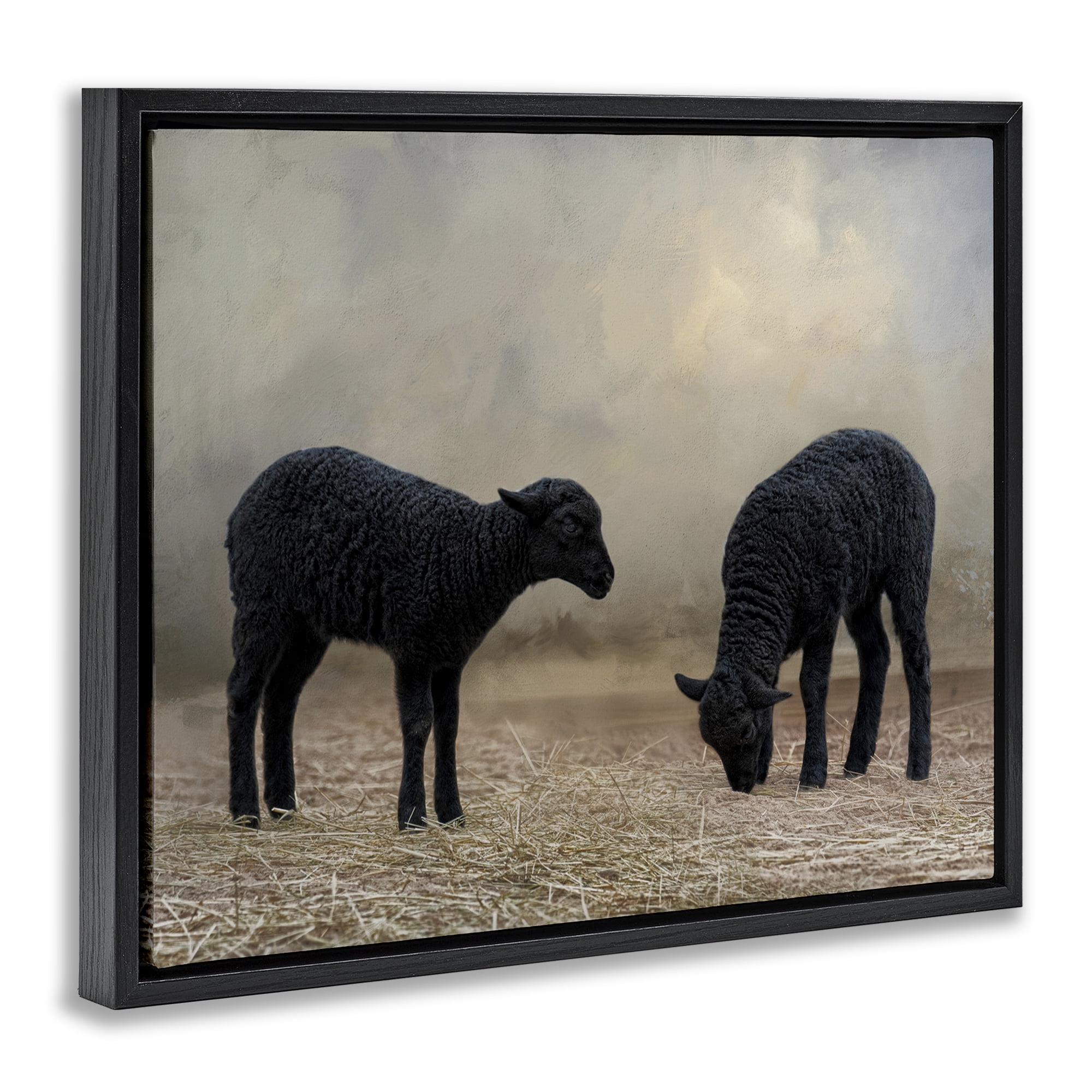Stupell Industries Black Sheep Grazing Animals & Insects Photography Black Floater Framed Canvas Art Print Wall Art, 31 x 25
