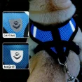 thumbnail image 3 of PUPIX Cat Harness with Leash Adjustable Pet Dog Harness No Pull Puppy Kitten Soft Harness Breathable Mesh Control, 3 of 8