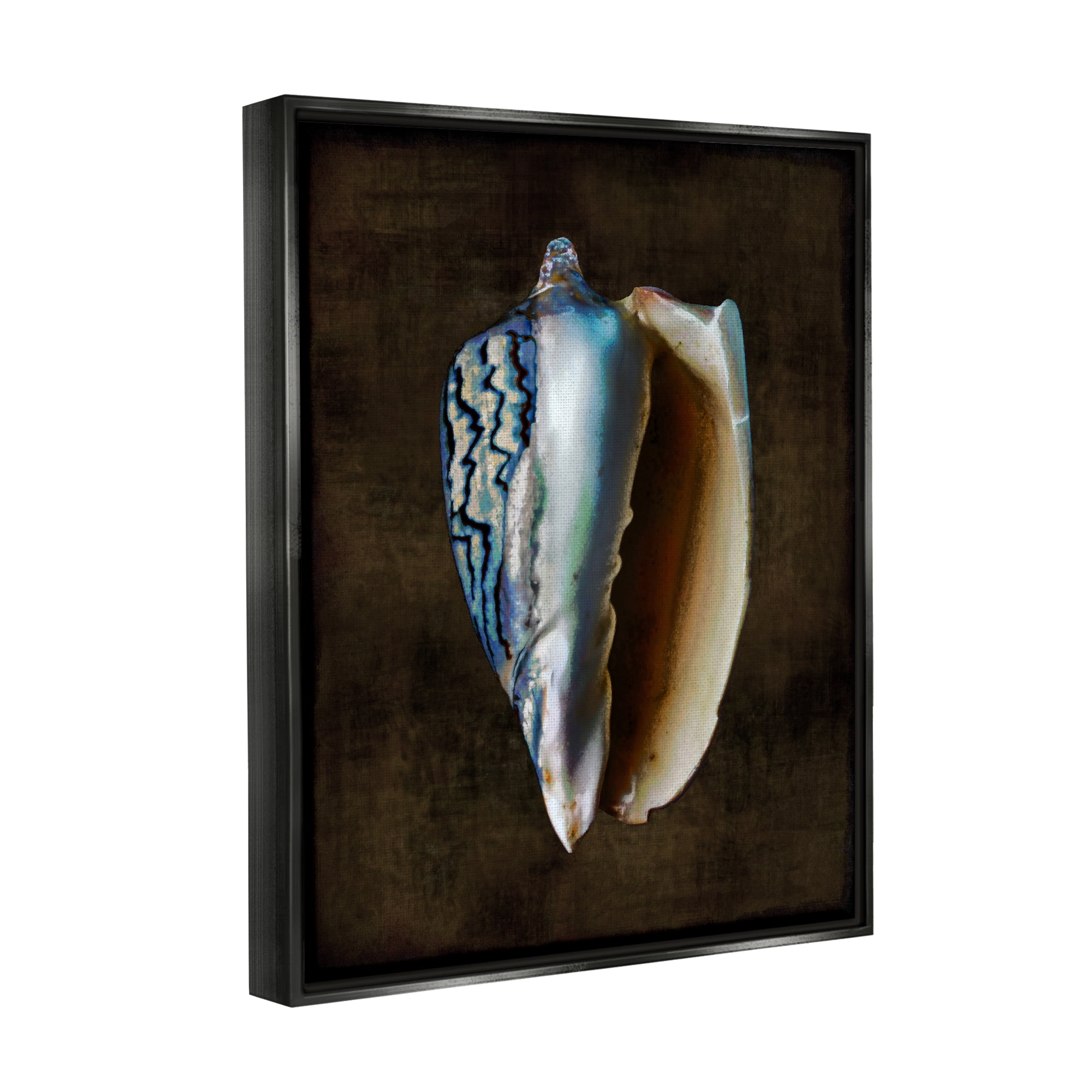 Stupell Industries Conch Shell on Black Nature Painting Black Floater Framed Art Print Wall Art, 17 x 21