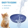 thumbnail image 4 of [Platos para gatos] WDZZHOT, paquete de 8 cuencos de paja de trigo anchos y poco profundos para gato, 4 of 7