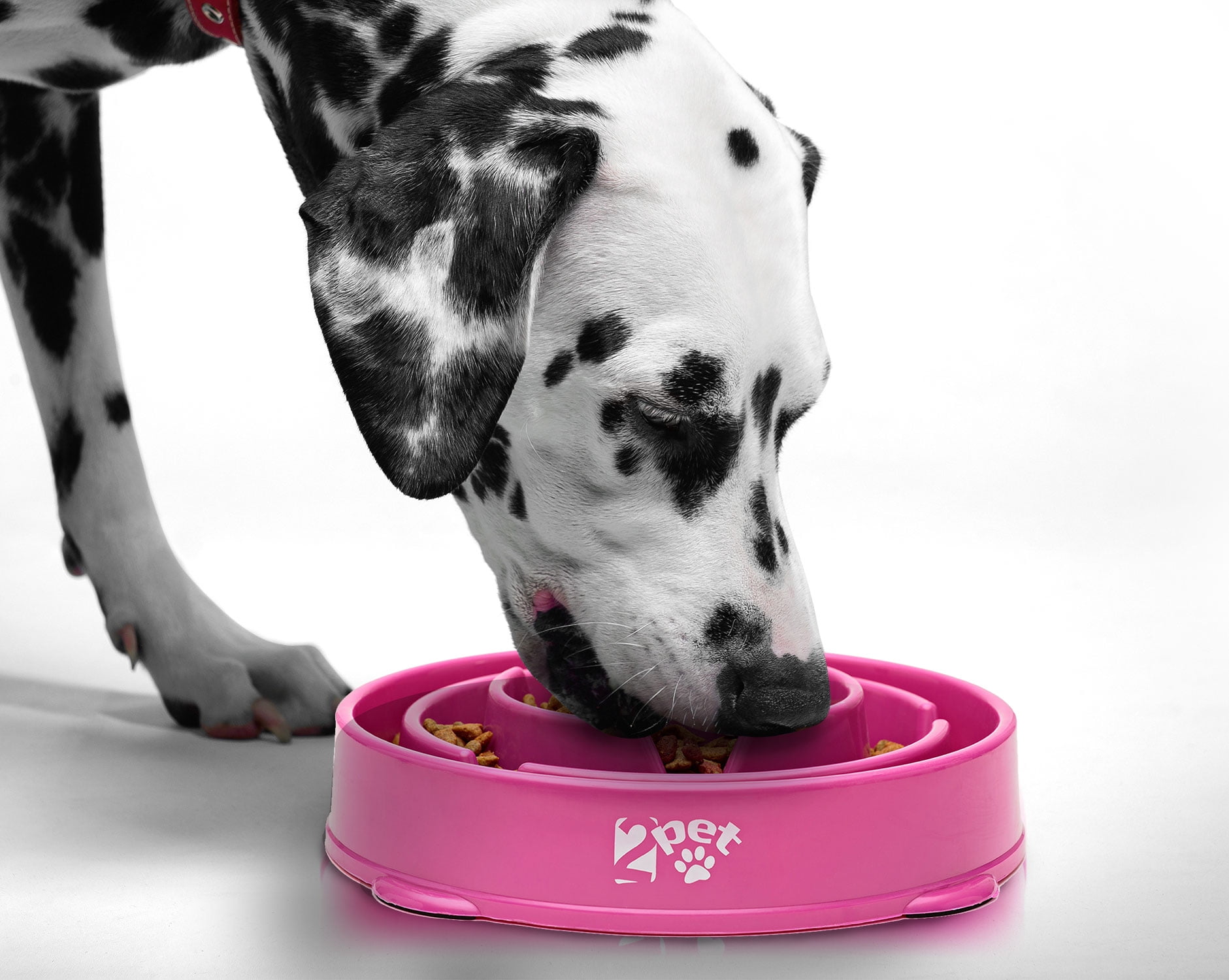 walmart slow feeder dog bowl