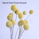 thumbnail image 3 of Cateissary 10 bolsas de color amarillo dorado que añaden un toque de naturaleza a la sala de estar con decoraciones de flores secas para el hogar Decoración talla grande, 3 of 6