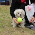 thumbnail image 3 of CIYISON Portable Tennis Ball Holder Convenient Pet Ball Holder with Hands Free Dog Leash Attachment for Active Pets Easy Install, 3 of 20