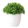 thumbnail image 2 of Zhaomeidaxi Plants Artificial 32 mesh bamboo grass Greenery in Pots Faux Potted Herbs Small Houseplants 5.51"Tall for Indoor Greenery Tabletop Décor Centerpiece wholesale bulk, 2 of 8
