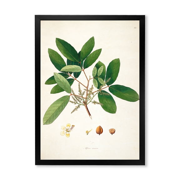 Designart 'Ancient Botanicals II' Farmhouse Framed Art Print