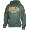 thumbnail image 2 of Men's Comfort Wash  Green NDSU Bison Lightweight Fleece Pullover Hoodie, 2 of 3