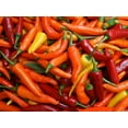 thumbnail image 3 of HJADGG Seeds Ornamental Hot Chili Pepper Mix Heirloom Vegetable for Planting Non GMO, 3 of 8