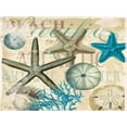 thumbnail image 2 of Allen, Candace 18x15 White Modern Wood Framed Museum Art Print Titled - Beach Shells R1, 2 of 4
