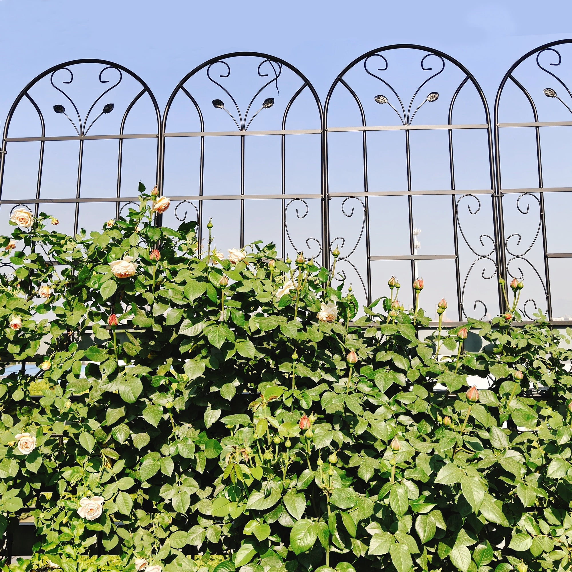 2 Pack Metal Garden Trellis Rustproof Trellis for Climbing Plants Outdoor Flower Support Black 86.7" x 19.7"