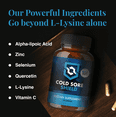 thumbnail image 4 of Cold Sore Shield Daily Supplement with L-Lysine, Zinc, Selenium - 60 Capsules, 4 of 7