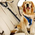 thumbnail image 5 of Paquete de 2 arneses para perros NQ Coche Rojo Negro, 5 of 5