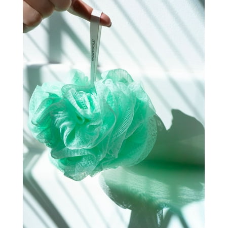 exfoliating ecotools 2ct loofah vary
