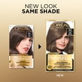 thumbnail image 5 of L'Oréal Paris Superior Preference Adult Permanent Hair Color, 6A Light Ash Brown, 5 of 10