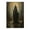 Unframe-style, variant on Forest Witch Gothic Victorian Occult Print Photo Art Painting Canvas Poster Home Decorative Bedroom Modern Decor Posters Gifts 12x18inch(30x45cm)