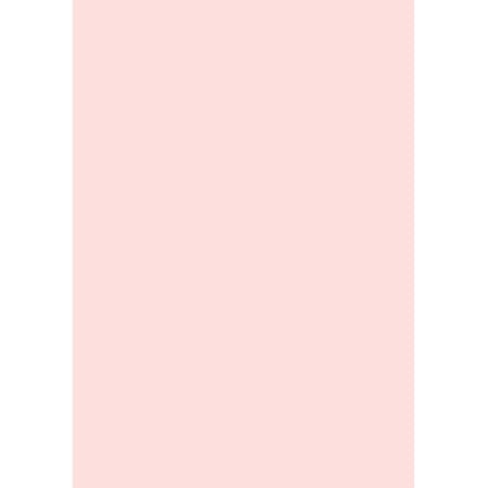 

DanzNmotion by Danshuz Women s Tights A/B PINK