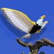 thumbnail image 2 of Fake Flying Hawk Decoy Bird Deterrent Devices Scare Birds Away Pigeon Repellent For Garden, 2 of 5