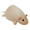 White丨35cm, variant on zhonghuaying Rat Stuffed Animal Plush Toy, 3 Colors (Gray/White/Brown) & 3 Sizes (35cm/50cm/90cm), Soft Realistic Plushie Pillow Gift for Boys girls Adults （Grey丨35cm）