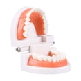 thumbnail image 4 of Vogacara Juguetes educativos para niños, aprendizaje, cepillado de dientes, ayuda didáctica interactiva para padres e hijos, accesorio de Juguetes Educativos, 4 of 6