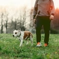 thumbnail image 5 of HEQUSIGNS Metal Dog Chain Leash, 49.6inch Heavy Duty Chew Proof Pet Leash Chain with Padded Handle for Small Medium Size Dogs (3.0mm x 4.1ft), 5 of 7