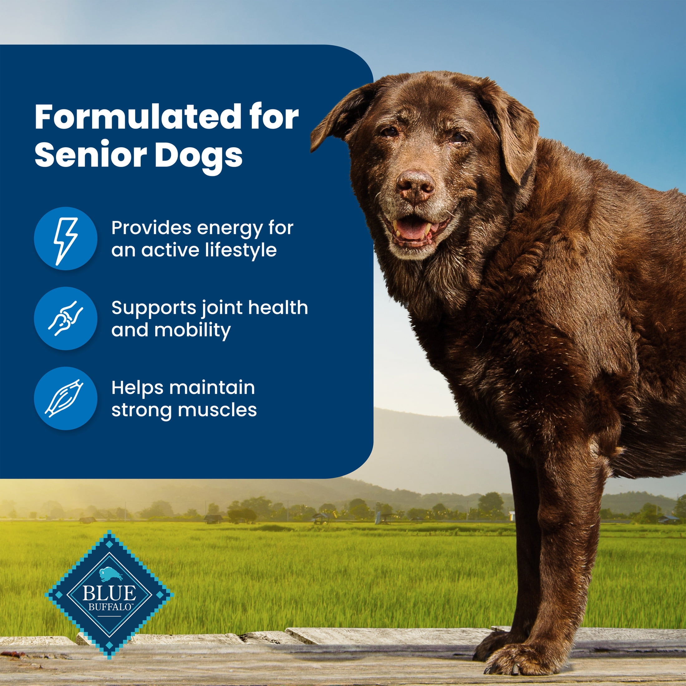 Blue Buffalo Life Protection Formula Senior Dry Dog Food, Chicken & Brown Rice Recipe, 34-lb. Bag