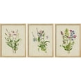 thumbnail image 2 of PixonSign Framed Canvas Print Wall Art Set - Colorful Country Wildflowers Poster Art - Set of 3 Nature Wilderness Vintage Floral Banquet Wall Décor for Living Room, Bedroom, Office - 12"x16" Natural, 2 of 5