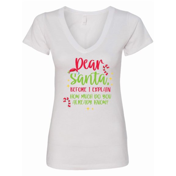Inktastic Christmas Dear, Santa Before I Explain How Much Do You Know? Women's V-Neck T-Shirt