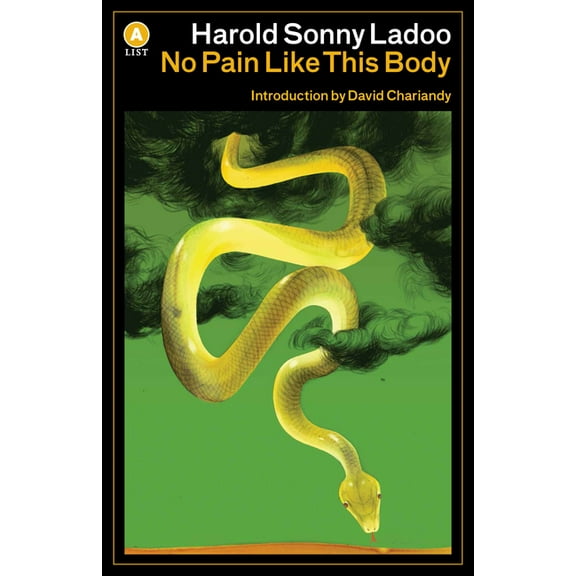 List No Pain Like This Body, (Paperback)