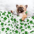 thumbnail image 3 of Naloa St Patrick's Day4 Dog Blanket, 3 Sizes Cat Blanket for Indoor Cats Large Medium Small Dog Gifts-Large, 3 of 8