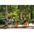 thumbnail image 2 of BSDHOME Polyester 7x5ft Old Carriage Backdrop Spring Jungle Forest Backdrops European Royal Park Trees Countyard Nature Photography Background for Girls Princess Outdoor Journey Photo Studio Props, 2 of 3
