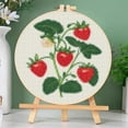 thumbnail image 3 of Generic Red Strawberry Plant Stamped Cross Stitch Kit with Hoop for Beginners, 18cm x 26cm, Multicolored, Non-Foldable, 3 of 8