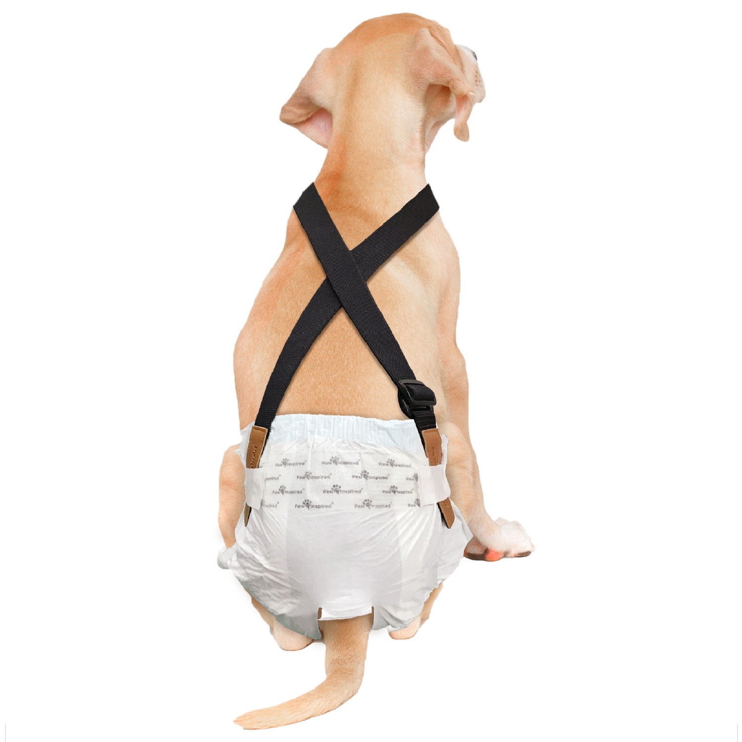 Paw Inspired Dog Diaper Suspenders Keep Washable and Disposable Dog