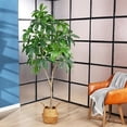 thumbnail image 6 of SOGUYI Artificial Plants Pachira Fake Money Tree 6FT Tall Artificial Plant for Home Decor Indoor, Faux Plastic Tree with 36 Adjustable Stems & 234 Leaves Perfect Housewarming Gift, 6 of 6