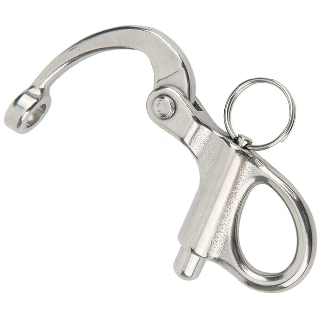 Mousqueton en Acier Inoxydable 316 avec Bouton-Pression Haute Résistance pour Camping en Plein Air, Alpinisme, Descente