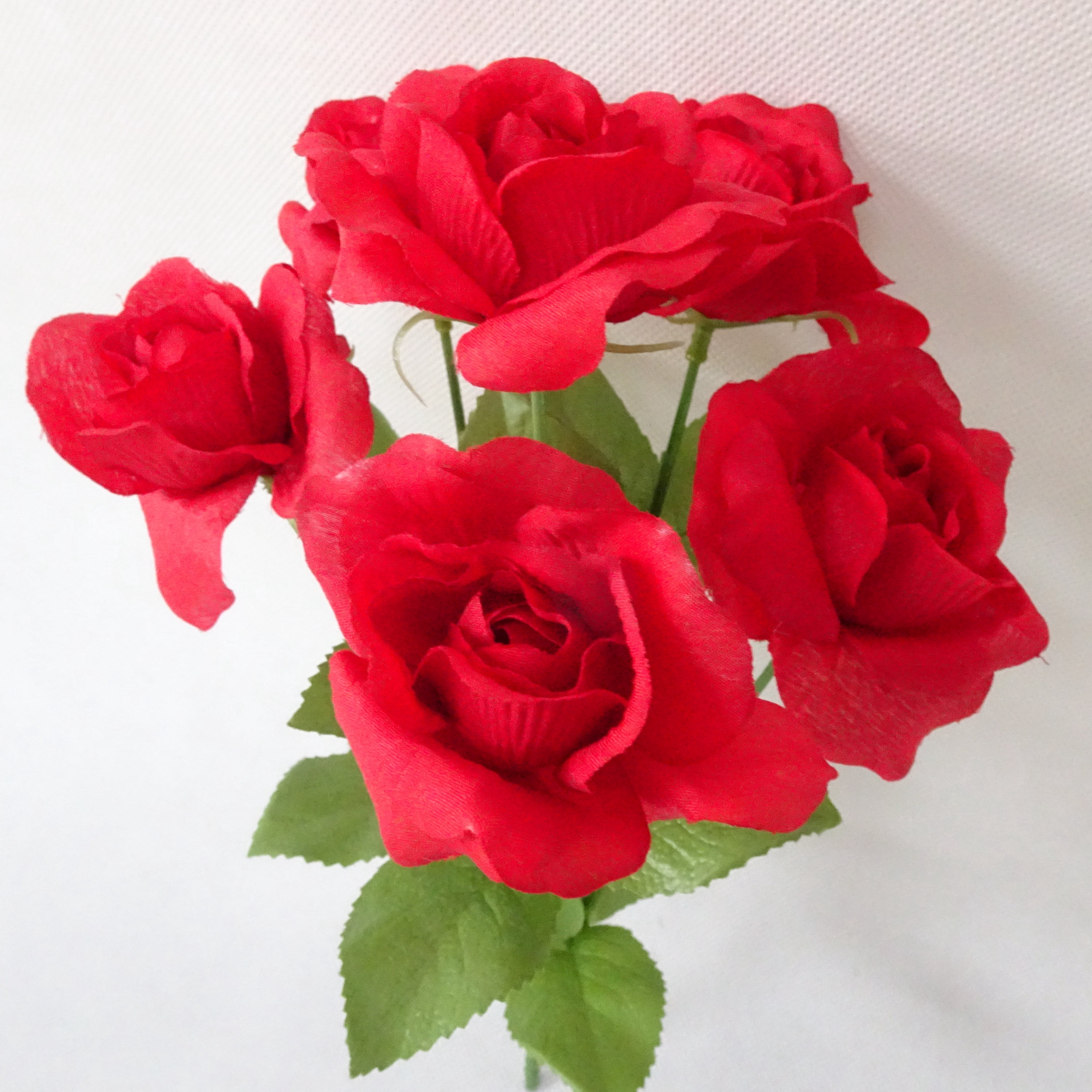 Red Open Rose Bush, 1 Each