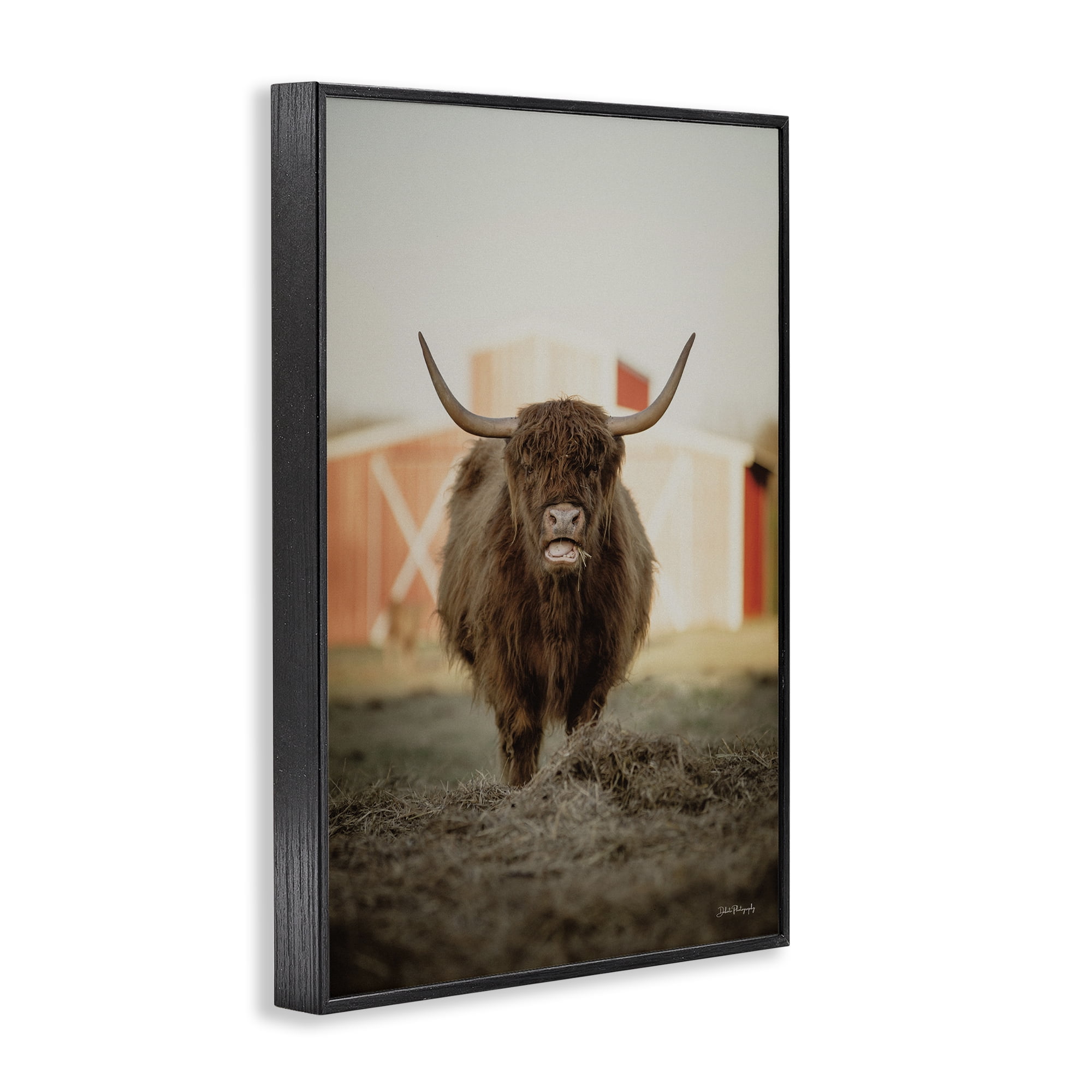 Stupell Industries Cattle on Farm Field Animals & Insects Photography Black Framed Art Print Wall Art, 12 x 18