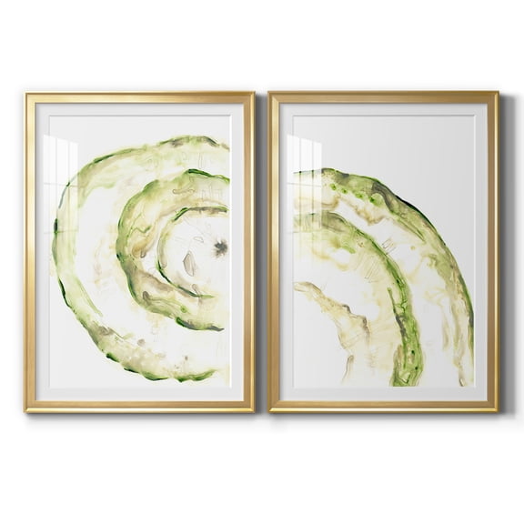 Wexford Home Lichen Halo V Premium Framed Print, 30.5" x 42.5" - Ready to Hang, Gold (Set of 2)