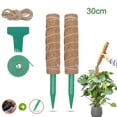 thumbnail image 2 of de soporte de barra de escalada para plantas Monstera para plantas Juego de 30 cm. Zulema postes de musgo, 2 of 8