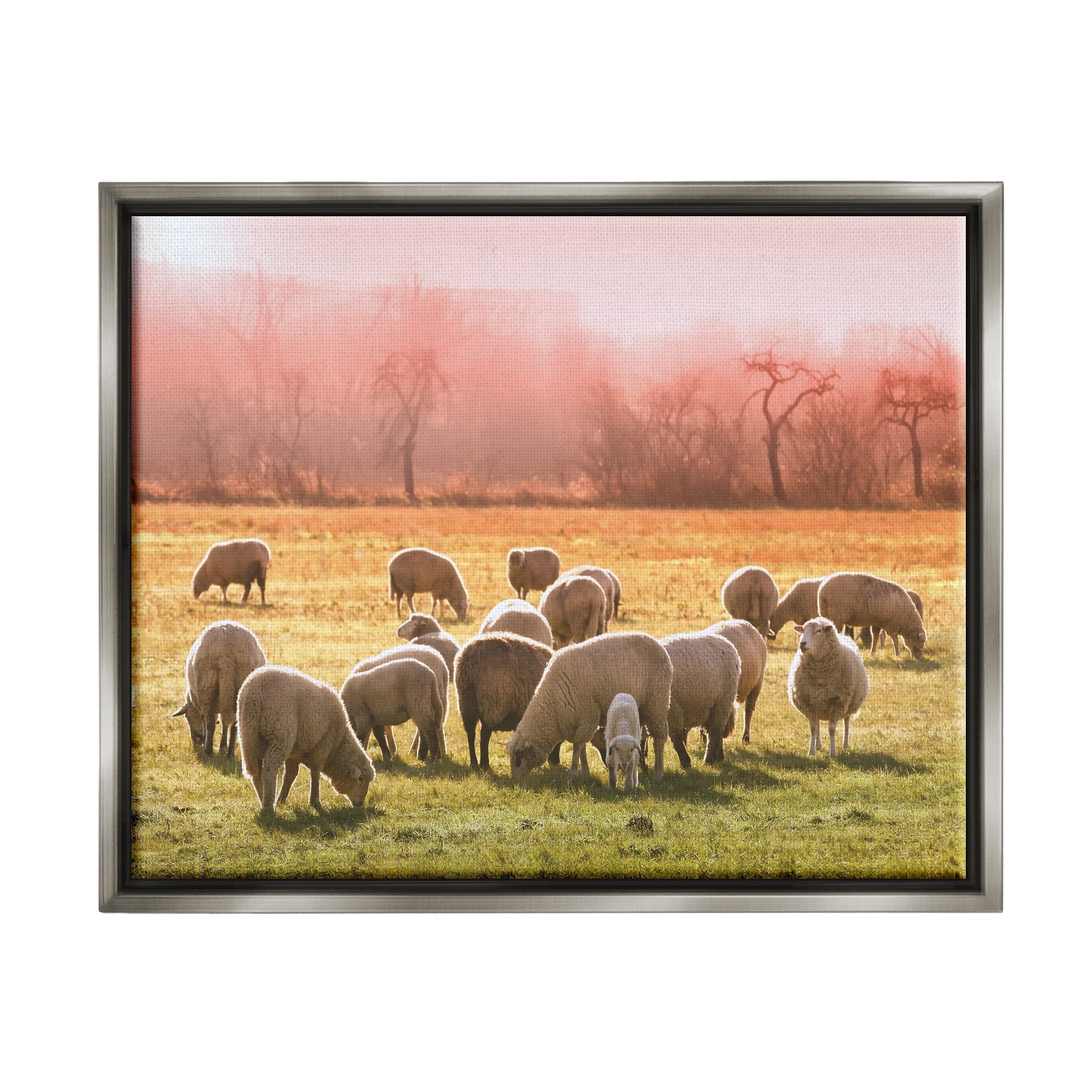 Stupell Industries Sheep Herd Grazing Warm Pink Sunset Rural Grassland Photograph Luster Gray Floating Framed Canvas Print Wall Art, Design by Daphne Polselli