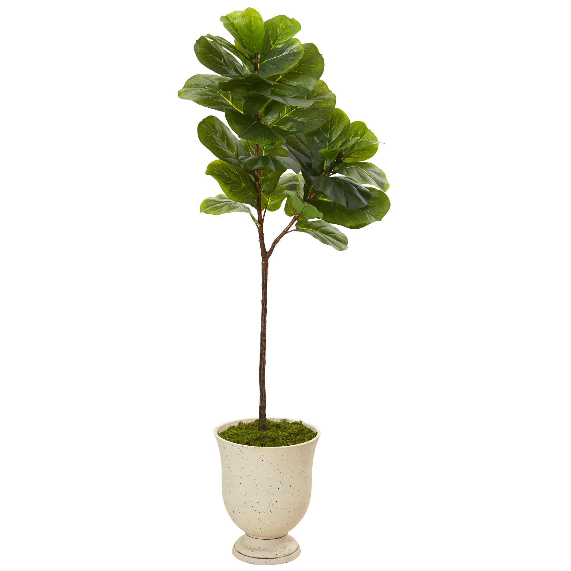 64in. Fiddle Leaf Artificial Tree in Decorative Urn (Real Touch
