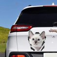 thumbnail image 1 of GHSDFBB White Cat Sticker, Cat Car Decals Vinyl Sticker for Cars, Windows, Walls, Fridge, Toilet and More-15 Inch, 1 of 2