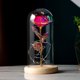 thumbnail image 1 of Rosa de la Bella y la Bestia, rosa infinita para siempre en cúpula de cristal, rosa eterna galaxia con luces LED, regalos para ella, 1 of 5