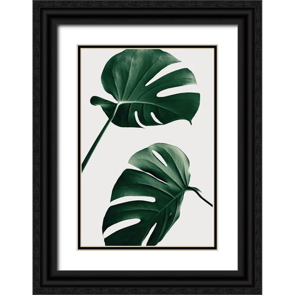 Artographie Studio 13x18 Black Ornate Wood Framed with Double Matting Museum Art Print Titled - Monstera Natural 46