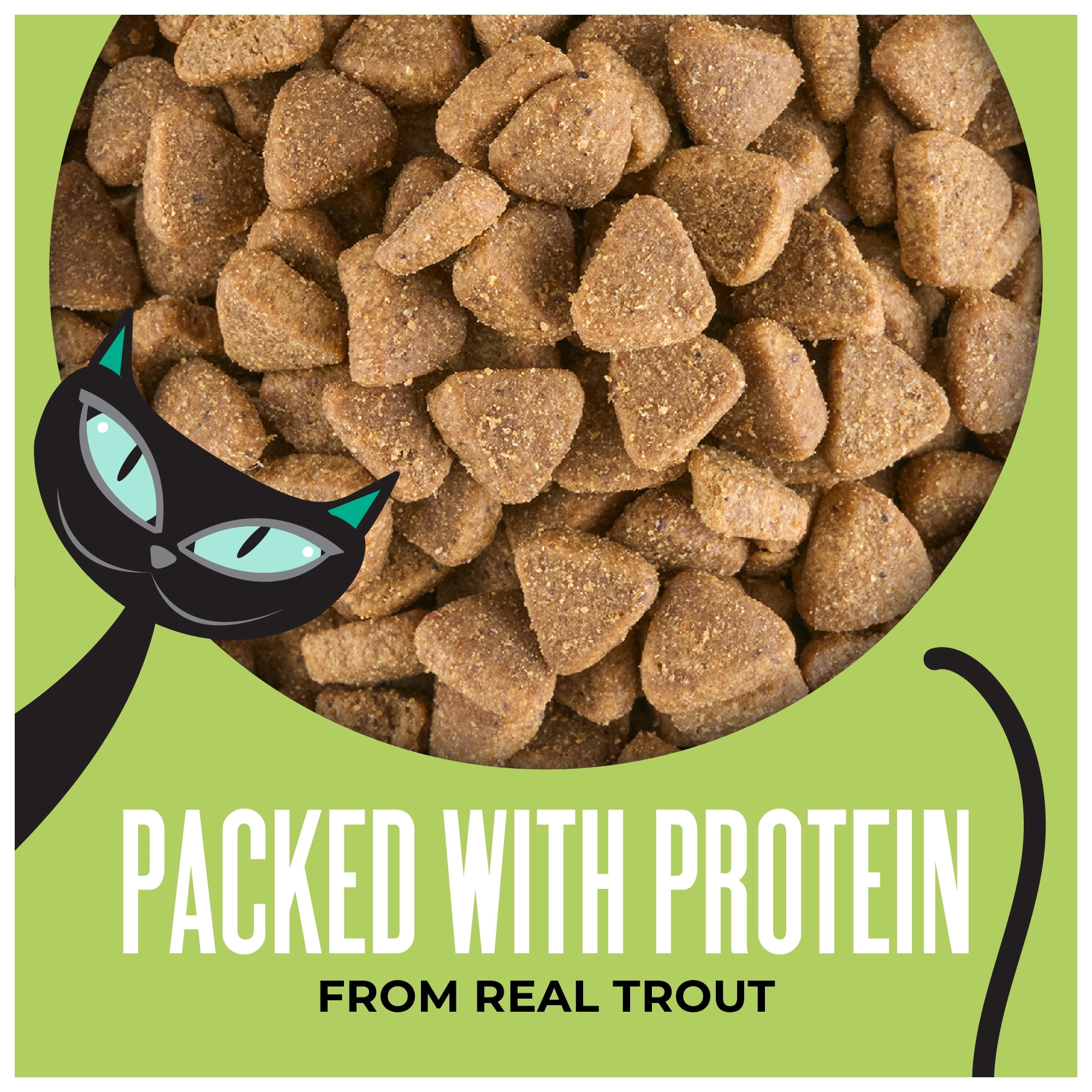(4 pack) Tiki Cat Born Carnivore Indoor Health Dry Cat Food, Trout & Menhaden Fish Meal, 3 lbs. Bag