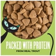 thumbnail image 4 of (2 pack) Tiki Cat Born Carnivore Indoor Health Dry Cat Food, Trout & Menhaden Fish Meal, 3 lbs. Bag, 4 of 11
