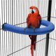 thumbnail image 3 of Soporte para percha para loros, arena de cuarzo en forma de U, palo para pájaros, molienda de patas, perchas grandes para pájaros de superficie rugosa para periquitos, guacamayos, jaulas de loros, ju, 3 of 5