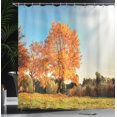 thumbnail image 4 of Ambesonne Nature Shower Curtain, Maple Tree in Autumn, 69"Wx84"L, Orange Blue, 4 of 5