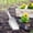 C, variant on Plastic Hand Garden Shovel, Mini Potting Trowel, Garden Scoop, Small Potted Plant Soil Scoop, Multifunctional Soil Loosening Tool, Household Garden Spade, Garden Trowel,13.58×4.33 in,A