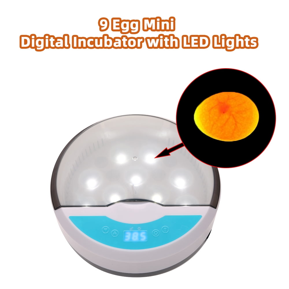 Private Jungle 9 Eggs Mini Automatic Chicken Duck Goose Birds Hatching Machine, with LED Lights,Visible Designed Egg Incubator Private Jungle 9 Eggs Mini Automatic Chicken Duck Goose Birds Hatching Machine, with LED Lights,Visible Designed Egg Incubator